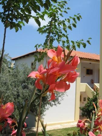 Epidaurus Hotel Heleni Apartments المظهر الخارجي الصورة